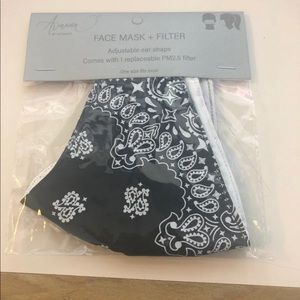 Face Mask with Filters